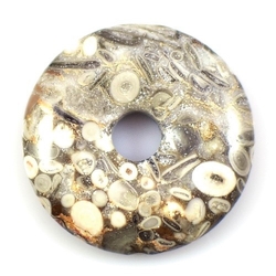 Turitella donut