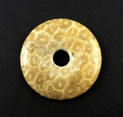 Korál fosilní donut