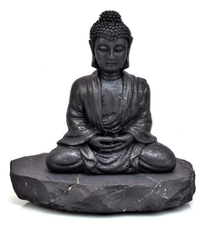 Buddha / 2