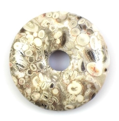 Turitella donut
